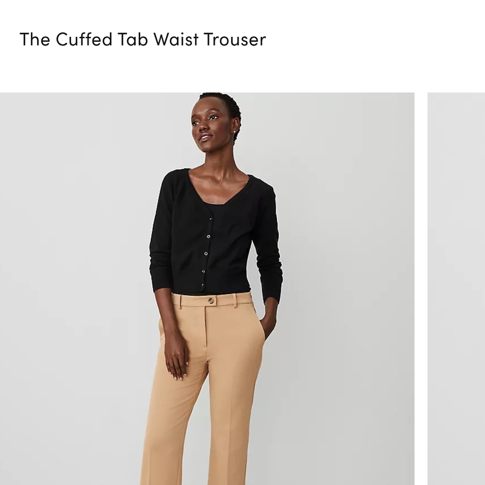 Ann Taylor Tan Trousers